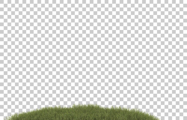 Field of grass with flowers on transparent background. 3d rendering - illustration