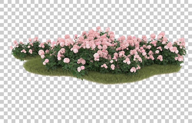 Field of grass with flowers on transparent background. 3d rendering - illustration