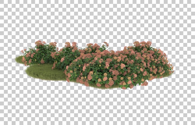 Field of grass with flowers on transparent background. 3d rendering - illustration