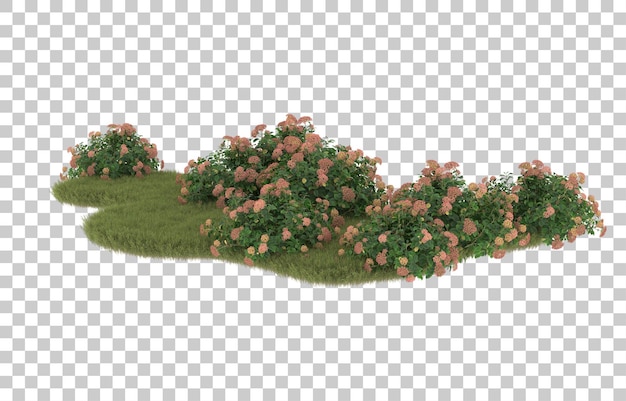 Field of grass with flowers on transparent background. 3d rendering - illustration