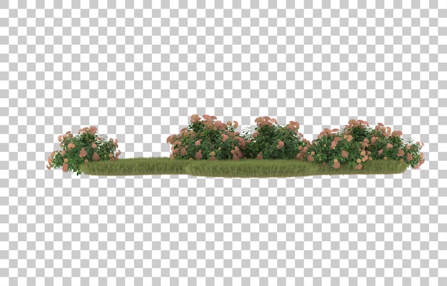 Field of grass with flowers on transparent background. 3d rendering - illustration