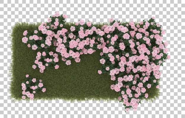 Field of grass with flowers on transparent background. 3d rendering - illustration