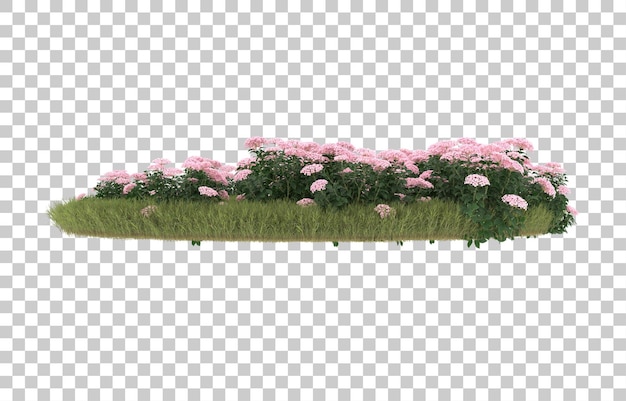 Field of grass with flowers on transparent background. 3d rendering - illustration