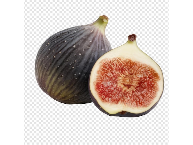 a fig and a fig are shown on a white background