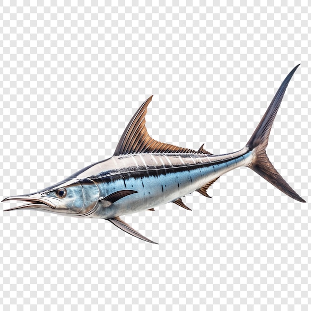 a fish is shown on a transparent background