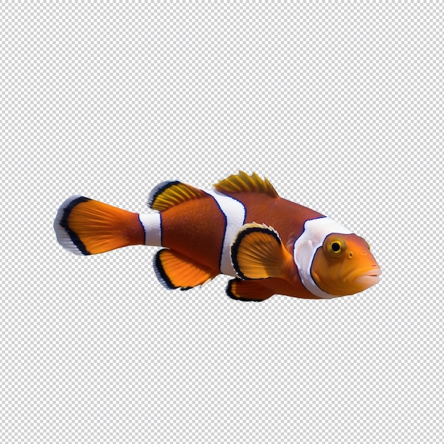 PSD a fish with a white stripe and a white stripe on its back