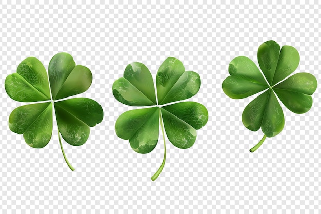 five four three leaf clover isolated on transparent background