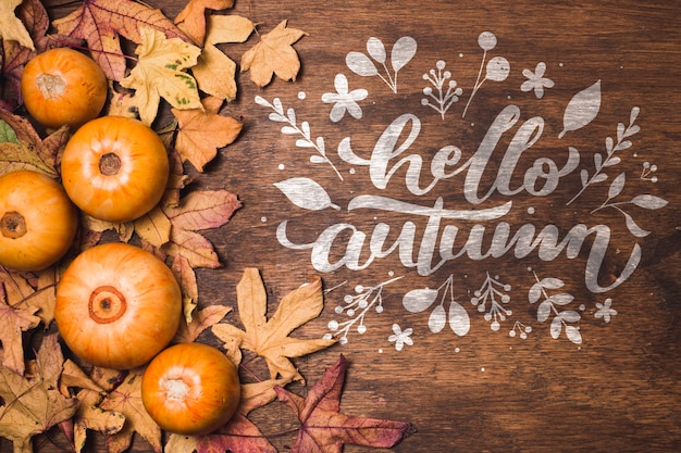 Flat lay arrangement with pumpkins 