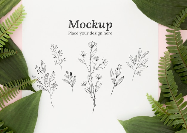 PSD flat lay composition of green leaves with mock-up