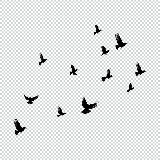 PSD a flock of birds flying in the sky transparent background