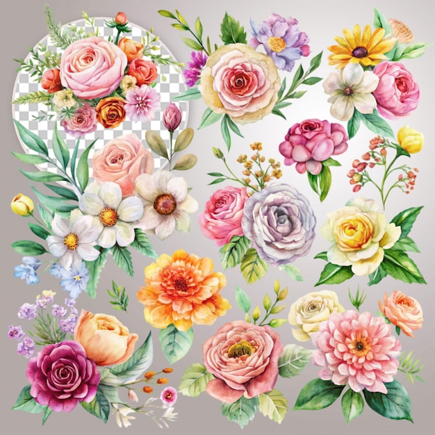 floral arrangement collection transparent background