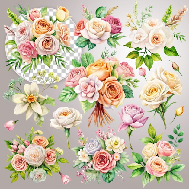 floral arrangement collection transparent background