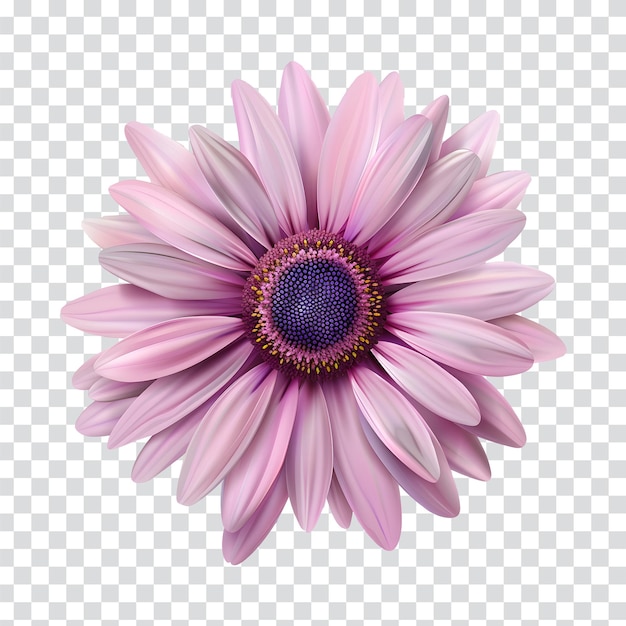 flower clipart pink flower png gerbera png flower png design clipart flower floral clipart flower se