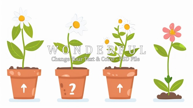 PSD flower growth stages illustration