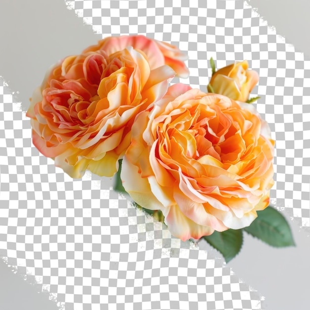 a flower is shown on a grid that has the image of a flower