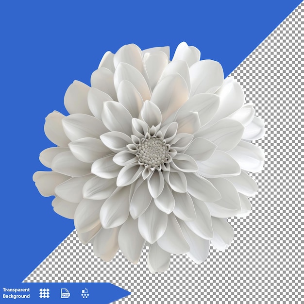 a flower is shown with a blue background with a white flower in the center