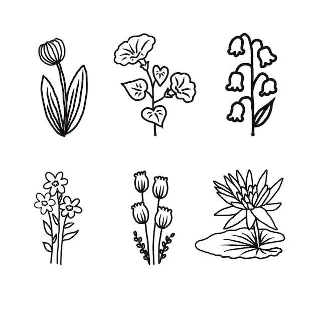 PSD flower outline set