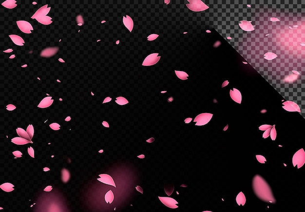 PSD flower pink leaf falling explosion in transparent background