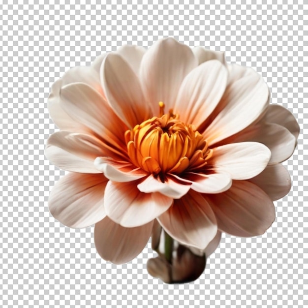 flower png