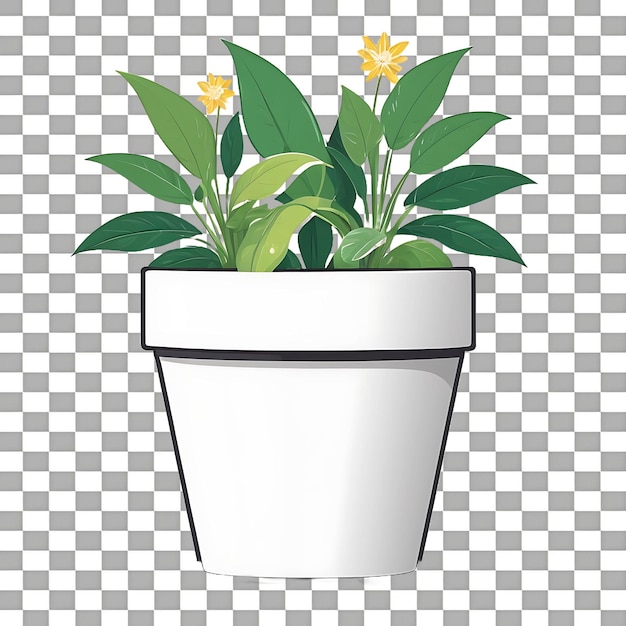 PSD flower pot isolated on transparent background