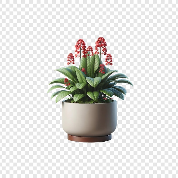 PSD flower in a pot transparent background