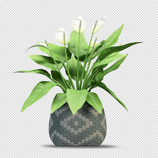 Flower in vase in 3d rendering isolated