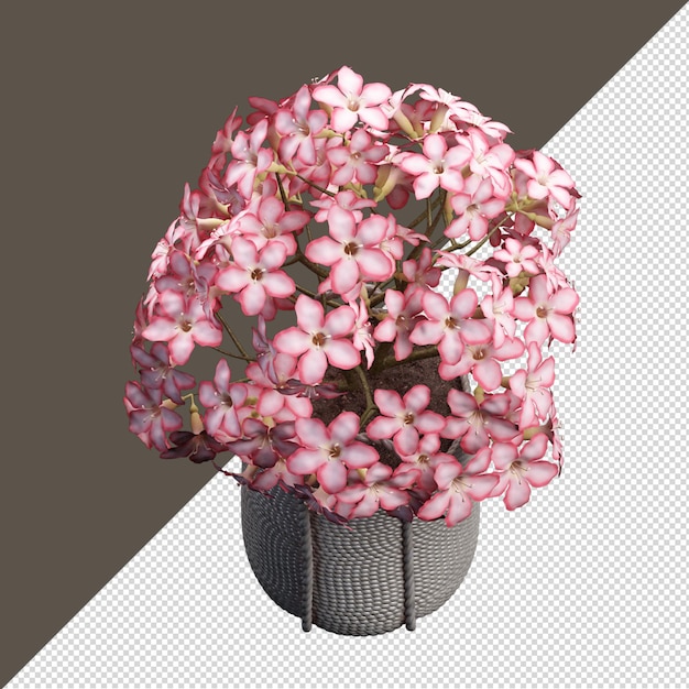 Flower in vase in 3d rendering isolated