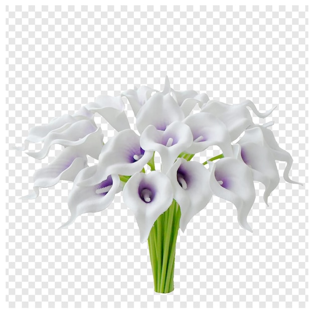 Flower with transparent background