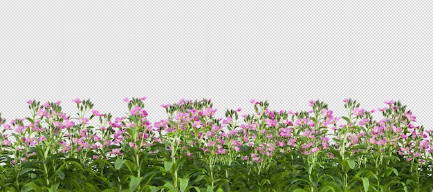 Flowers in 3d rendering isolated