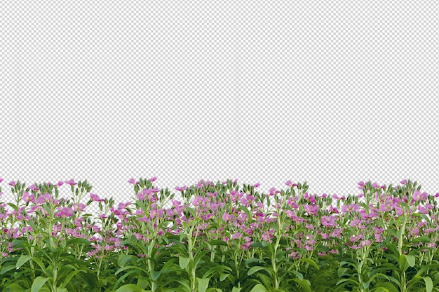 Flowers in 3d rendering isolated