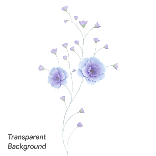 flowers isolated on white transparent background