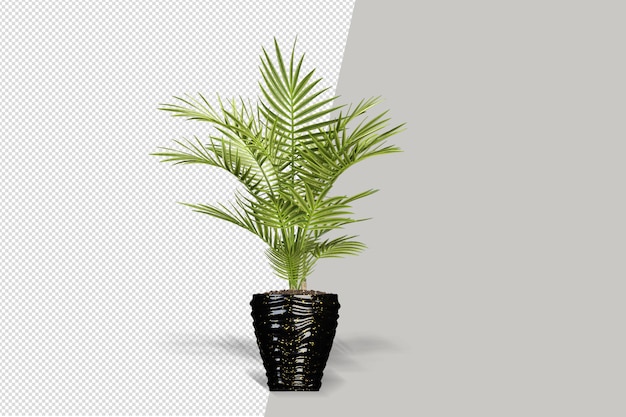 Flowers plant in vase in 3d rendering isolated