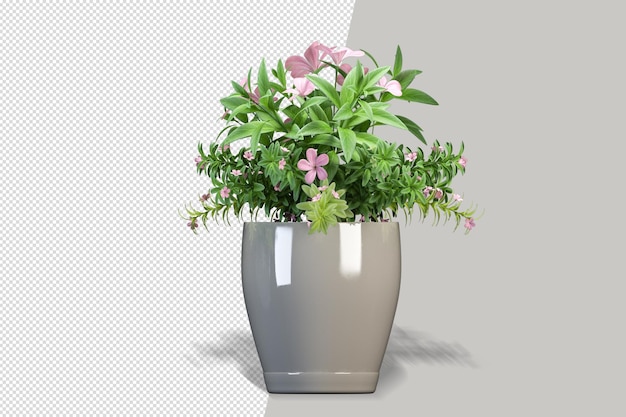 Flowers plant in vase in 3d rendering isolated