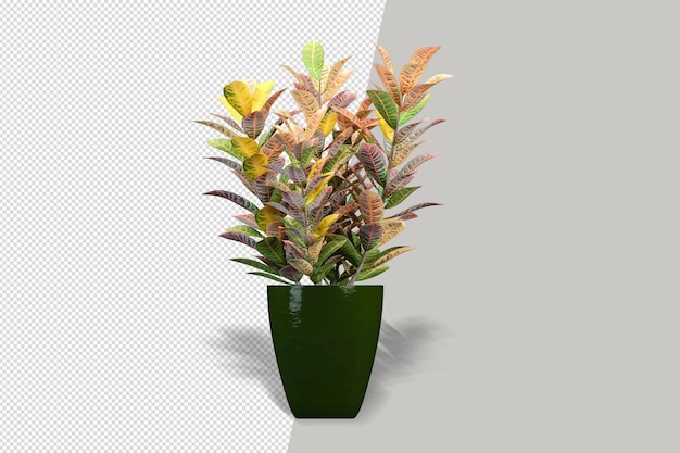 Flowers plant in vase in 3d rendering isolated