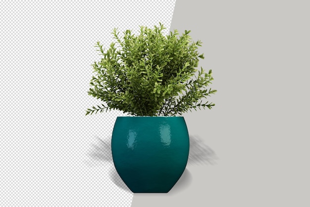 Flowers plant in vase in 3d rendering isolated