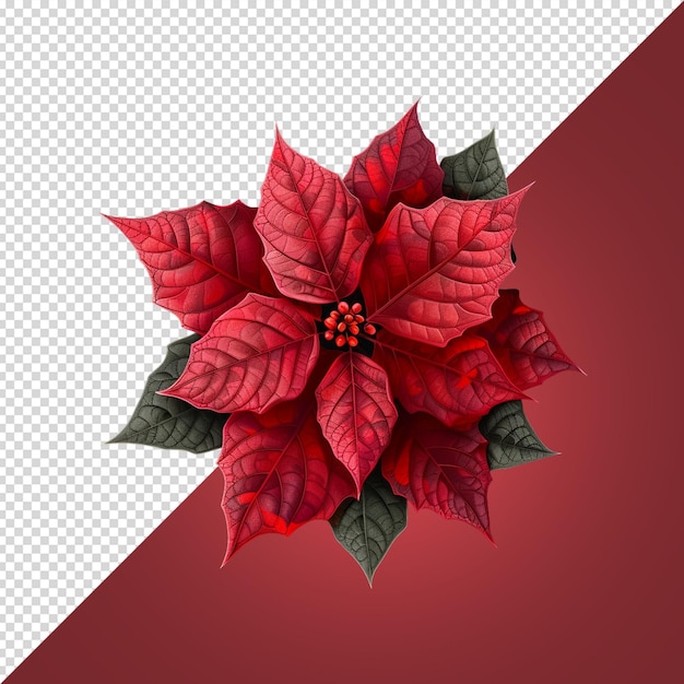 PSD flowers with pot png