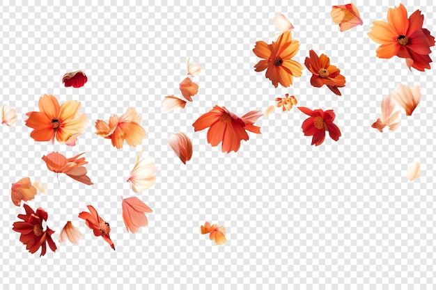 PSD flying autumn flowers isolated on transparent background