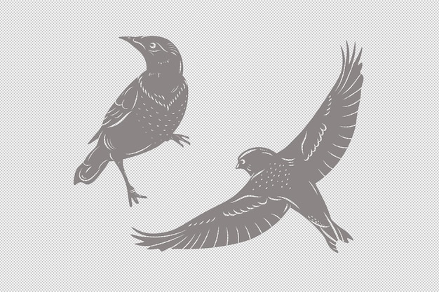 Flying birds isolated vector clipart elements