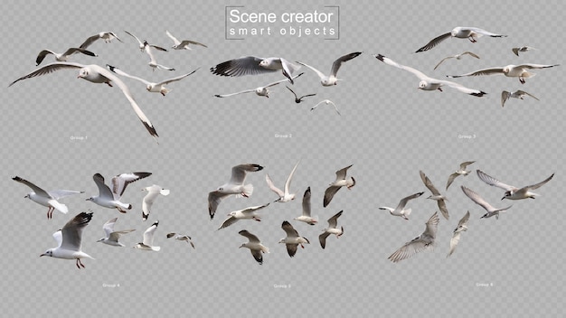 Flying birds set scene creator isolated