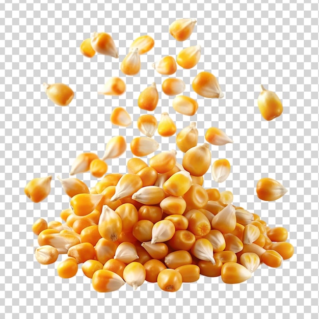 Flying corn seeds cut outout Isolated on transparent background