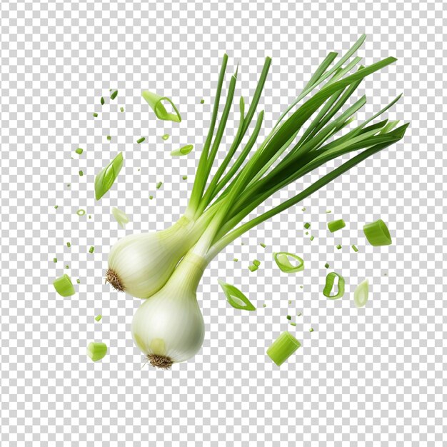 Flying fresh green onions isolated on transparent background