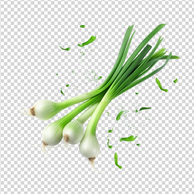 Flying fresh green onions isolated on transparent background