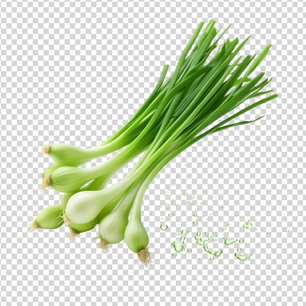 Flying fresh green onions isolated on transparent background