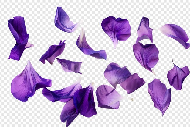 PSD flying purple flower isolated on transparent background