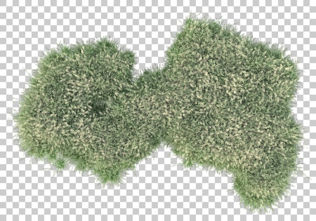 Foliage on transparent background 3d rendering illustration