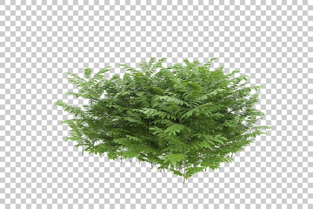 Foliage with transparent background 3d rendering illustration