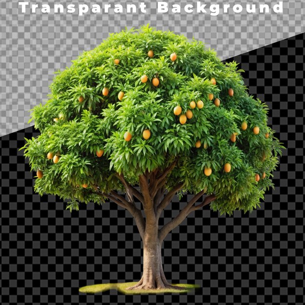 PSD a food tree on transparent background