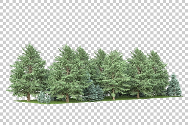 Forest scene on transparent background 3d rendering illustration