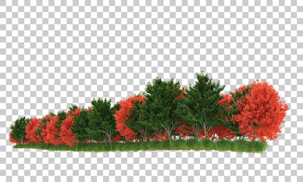 Forest on transparent background 3d rendering illustration