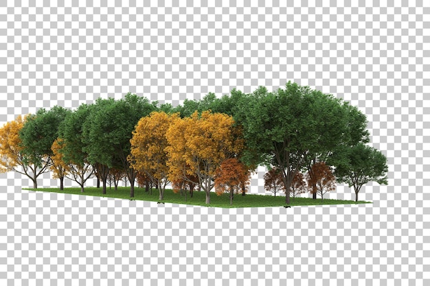 Forest on transparent background 3d rendering illustration